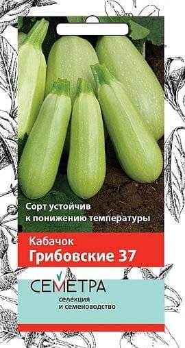 Семена Кабачок Грибовские 37
