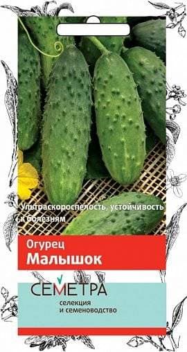 Семена Огурец Малышок