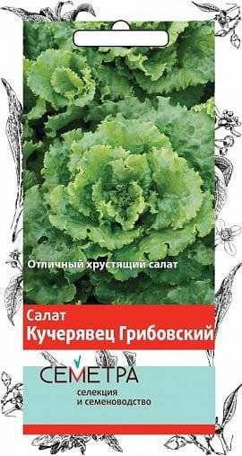 Семена Салат Кучерявец грибовский