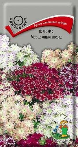 Семена Флокс Мерцающие Звезды